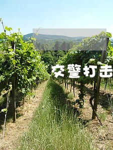 交警打击农村车辆违法行为不手软