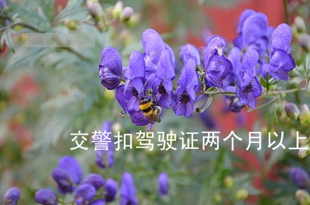 交警扣驾驶证两个月以上违法吗 交警扣驾驶证两个月以上违法吗