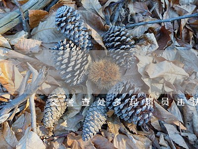 交警查处多起超员违法行为 交警查处多起超员违法行为