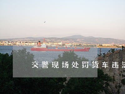 交警现场处罚货车违法6651起 交警现场处罚货车违法6651起