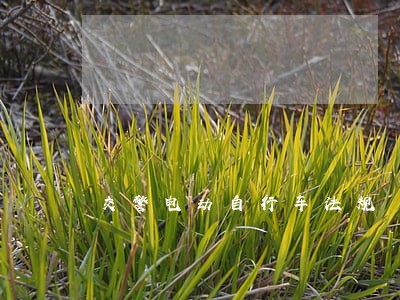 交警电动自行车法规 交警电动自行车法规