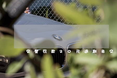 交警罚款20元逾期未交怎样处理 交警罚款20元逾期未交怎样处理