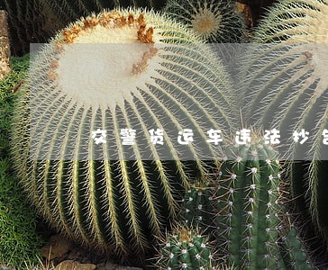 交警货运车违法抄告通知 交警货运车违法抄告通知