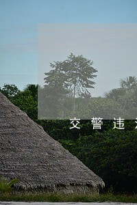 交警违法代码7351 交警违法代码7351