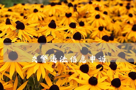 交警违法信息申诉 交警违法信息申诉