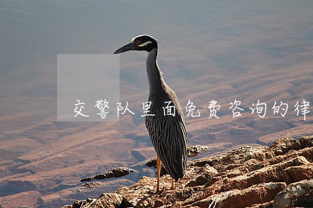 交警队里面免费咨询的律师 交警队里面免费咨询的律师