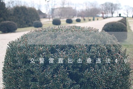 交警雷霆出击查违法46起 交警雷霆出击查违法46起