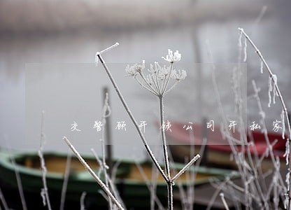 交警顾开锁公司开私家车是否违法 交警顾开锁公司开私家车是否违法