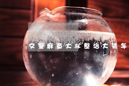 交警麻章大队整治大货车违法行为 交警麻章大队整治大货车违法行为