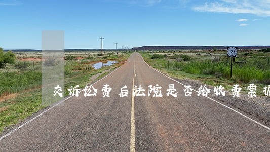 交诉讼费后法院是否给收费票据 交诉讼费后法院是否给收费票据