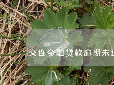 交连金融贷款逾期未还 交连金融贷款逾期未还