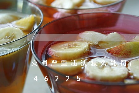 交通严重违法怎么处罚/2023013046225 交通严重违法怎么处罚/2023013046225