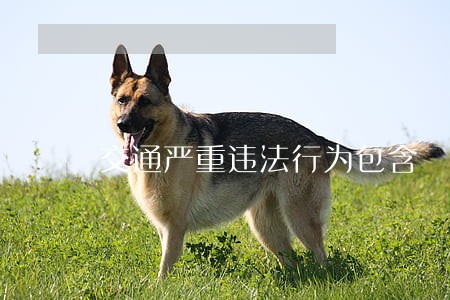 交通严重违法行为包含 交通严重违法行为包含