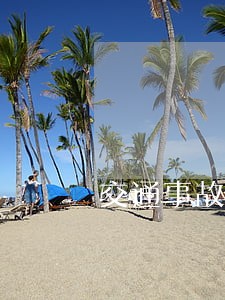 交通事故不予法律援助