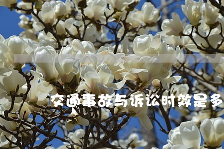 交通事故与诉讼时效是多久 交通事故与诉讼时效是多久