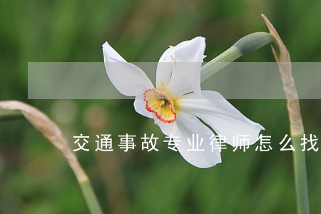 交通事故专业律师怎么找 交通事故专业律师怎么找