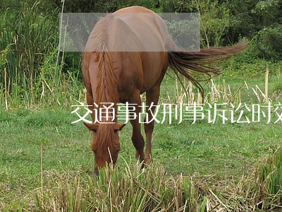 交通事故刑事诉讼时效多久 交通事故刑事诉讼时效多久
