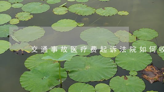 交通事故医疗费起诉法院如何收费