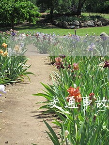 交通事故去法院了对自己有污点没 交通事故去法院了对自己有污点没