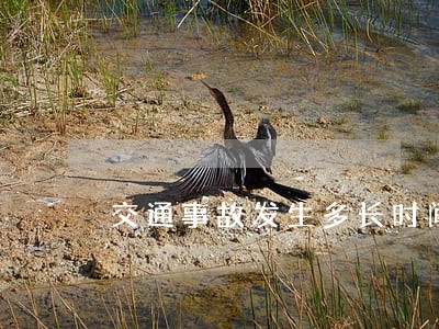 交通事故发生多长时间后可以诉讼