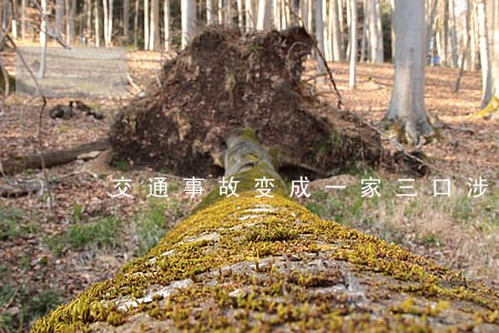 交通事故变成一家三口涉嫌违法 交通事故变成一家三口涉嫌违法