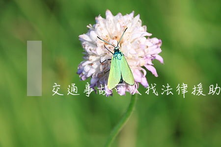 交通事故可以找法律援助 交通事故可以找法律援助