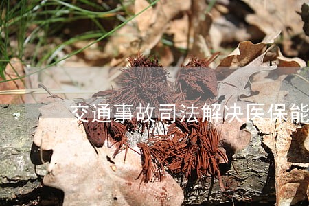 交通事故司法解决医保能报销吗 交通事故司法解决医保能报销吗