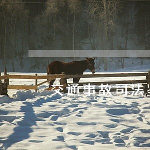 交通事故司法鉴定可以异地吗 交通事故司法鉴定可以异地吗