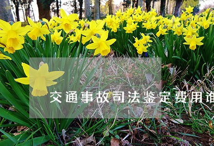 交通事故司法鉴定费用谁承担