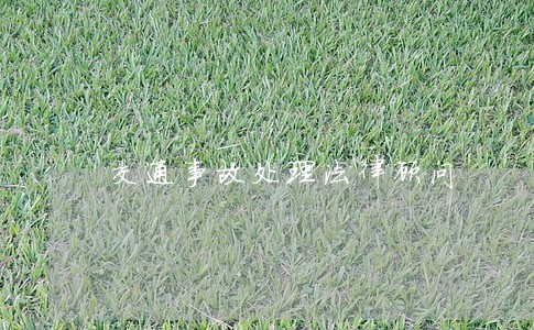 交通事故处理法律顾问 交通事故处理法律顾问