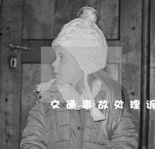 交通事故处理诉讼书籍 交通事故处理诉讼书籍