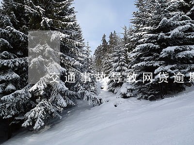 交通事故导致网贷逾期 交通事故导致网贷逾期