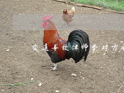 交通事故律师费对方承担 交通事故律师费对方承担