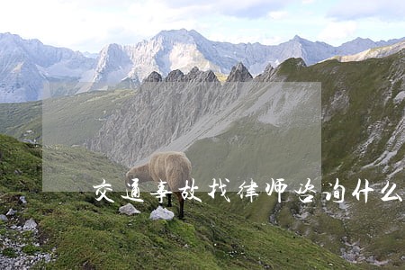 交通事故找律师咨询什么