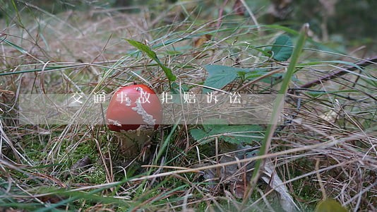 交通事故拒赔诉讼 交通事故拒赔诉讼