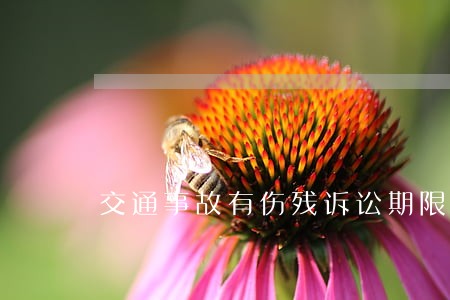 交通事故有伤残诉讼期限