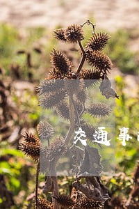 交通事故案件诉讼简易程序 交通事故案件诉讼简易程序