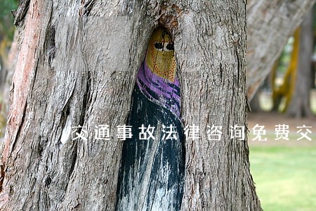 交通事故法律咨询免费交