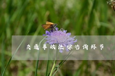 交通事故法律咨询环节 交通事故法律咨询环节