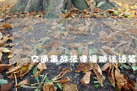 交通事故法律援助谈话笔录