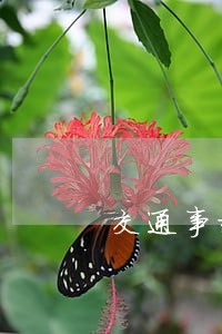 交通事故法院判决后就结案吗 交通事故法院判决后就结案吗