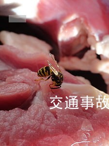 交通事故法院受理吗 交通事故法院受理吗