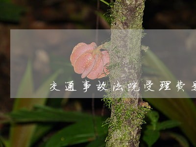 交通事故法院受理费是怎么计算的 交通事故法院受理费是怎么计算的