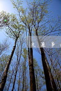 交通事故法院收费 交通事故法院收费