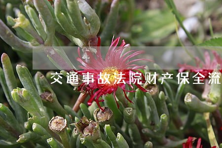 交通事故法院财产保全流程 交通事故法院财产保全流程