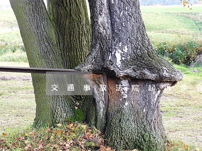 交通事故法院起诉步骤是什么 交通事故法院起诉步骤是什么