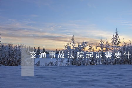 交通事故法院起诉需要什么材料 交通事故法院起诉需要什么材料