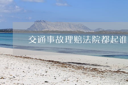 交通事故理赔法院都起谁 交通事故理赔法院都起谁