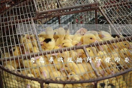 交通事故理赔纠纷律师委托流程 交通事故理赔纠纷律师委托流程