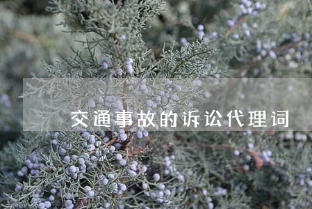 交通事故的诉讼代理词 交通事故的诉讼代理词